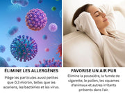PURIFICATEUR ALLERGENES