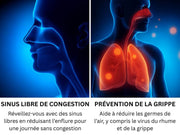 PURIFICATEUR D'AIR MAISON