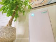 purificateur d'Air maison