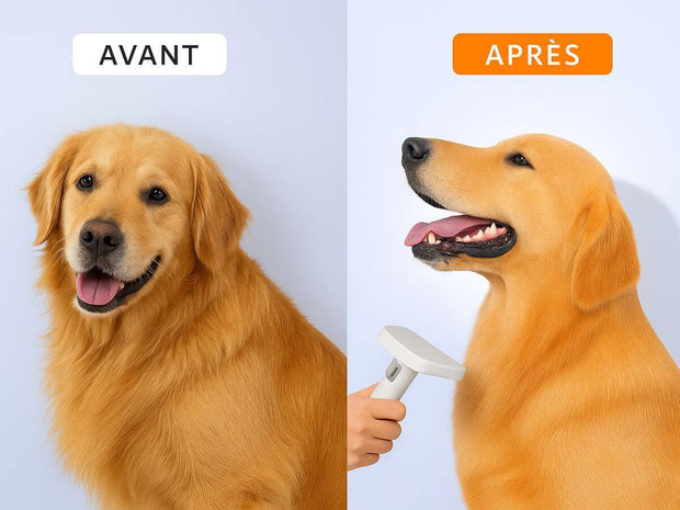 aspirateur animaux pas cher