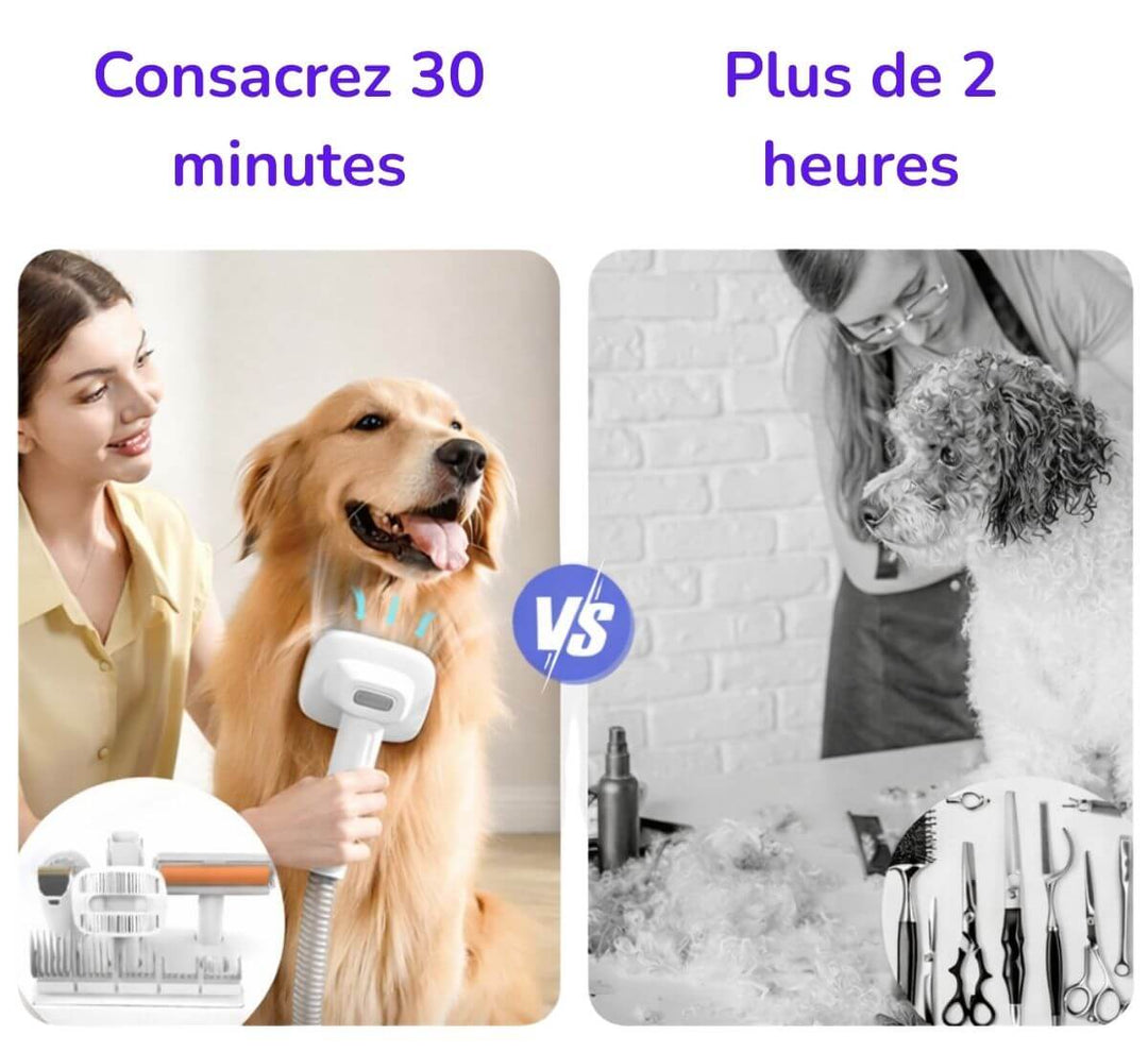 Aspirateur sans fil spécial poils d'animaux Shark Detect Clean