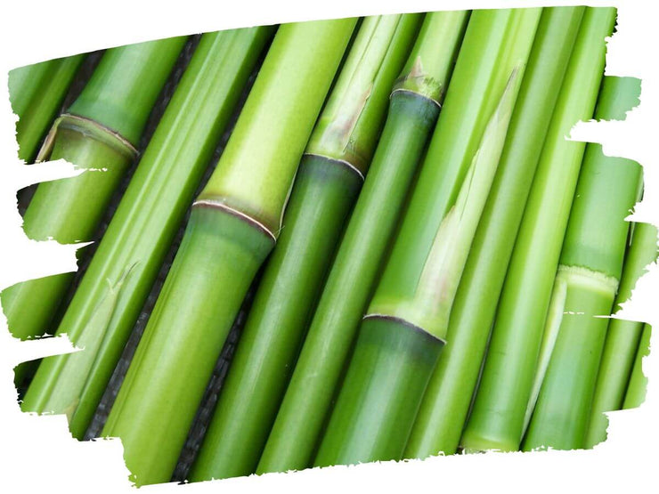 draps en bambou qualité superieur